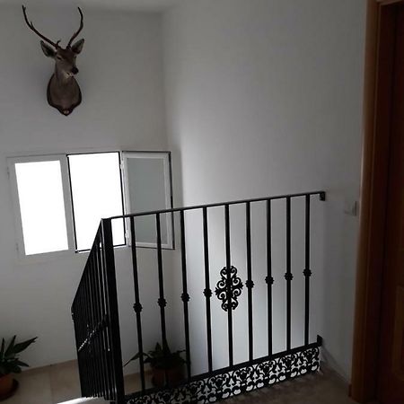 Apartament Atico Centrico Antequera Zewnętrze zdjęcie